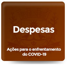 Despesas Covid-19